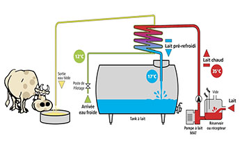 Schéma de fonctionnement du pré-refroidissement du lait dans un tank à lait